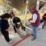 Avanza Gobierno de la Ciudad en materia de bienestar animal