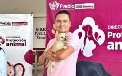Avanza Gobierno de la Ciudad en materia de bienestar animal.