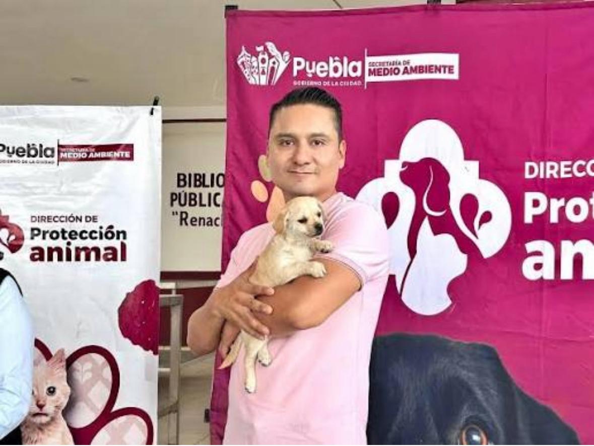 Avanza Gobierno de la Ciudad en materia de bienestar animal
