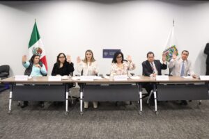 Aprueba Comisión del Congreso de Puebla exhorto para que municipios resguarden y den en adopción a perros en situación de calle