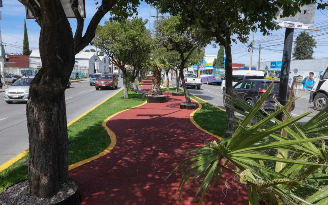 Paseo de Campeonas y Campeones honra el legado deportivo y transforma espacios públicos