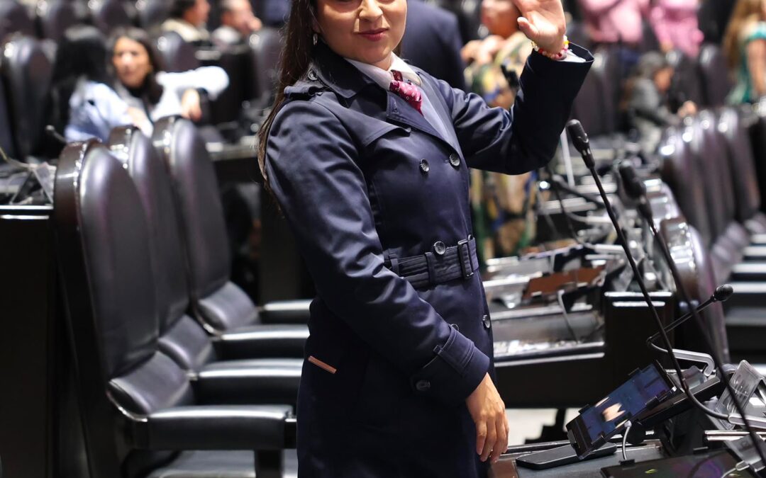 Diputada Claudia Rivera busca blindar por ley el transporte de animales de compañía en cabina de aviones