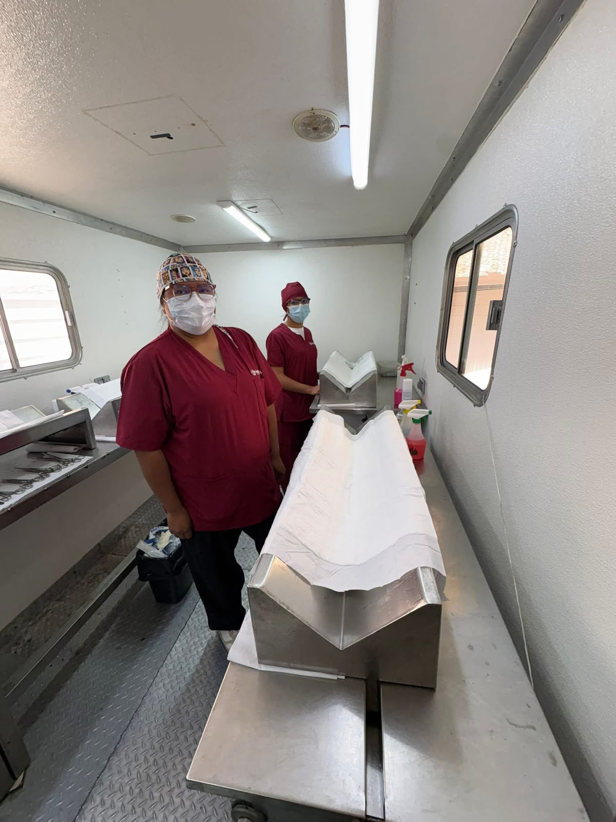observatorio-puebla-proteccion-animal-esterilizaciones