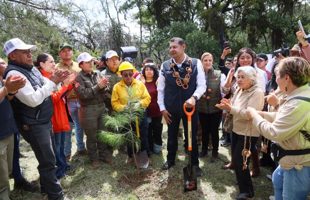Gobierno Estatal siembra futuro con bosques y agua limpia para las próximas generaciones.
