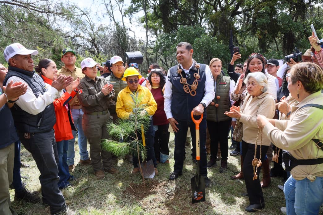 observatorio-puebla-gep-siembre-futuro-bosques-agua-limpia