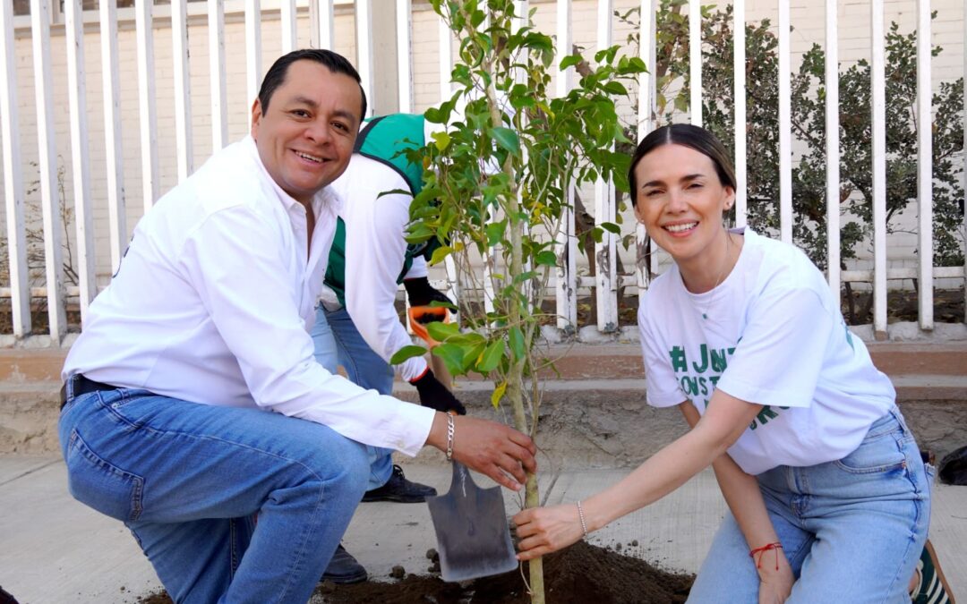 Gobierno de Juan Manuel Alonso incrementa 52% la plantación de árboles para recuperar espacios públicos en San Martín Texmelucan